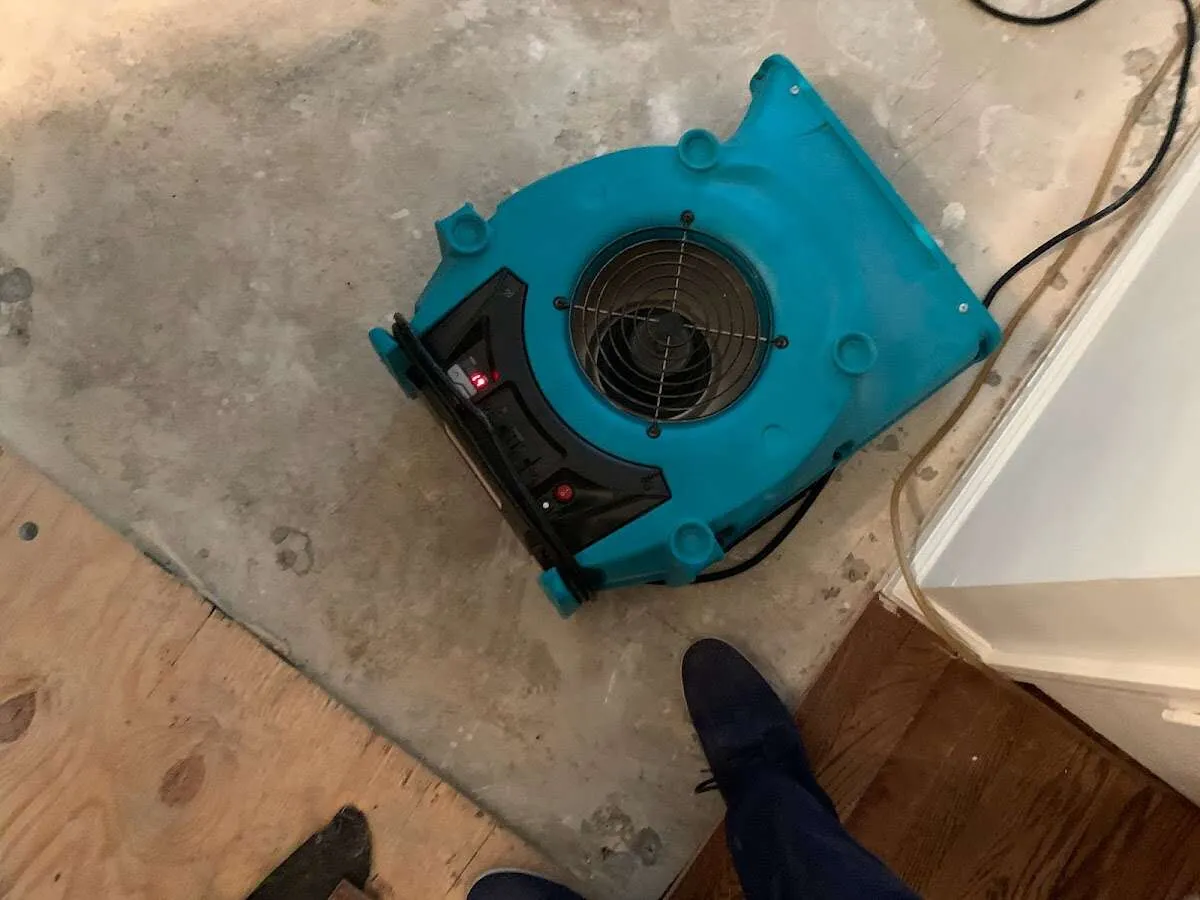 Air mover drying subfloor during Leak Detection & Repair in Columbia Heights